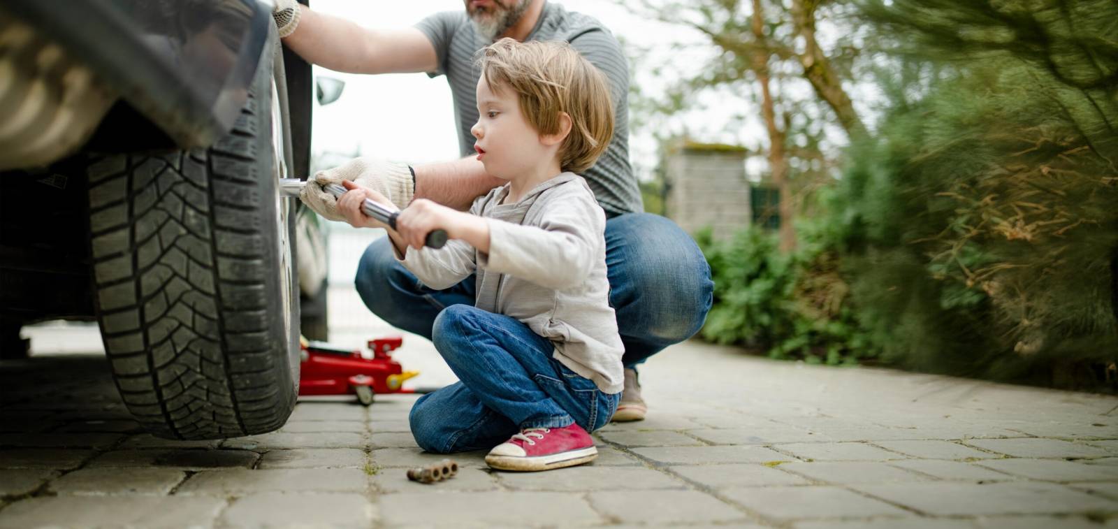Banner Transferencia Directa Banner Transferencia Directa