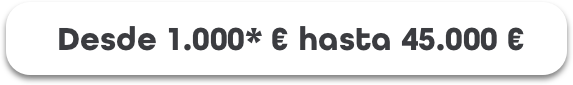 Desde 1.000* € hasta 45.000 €