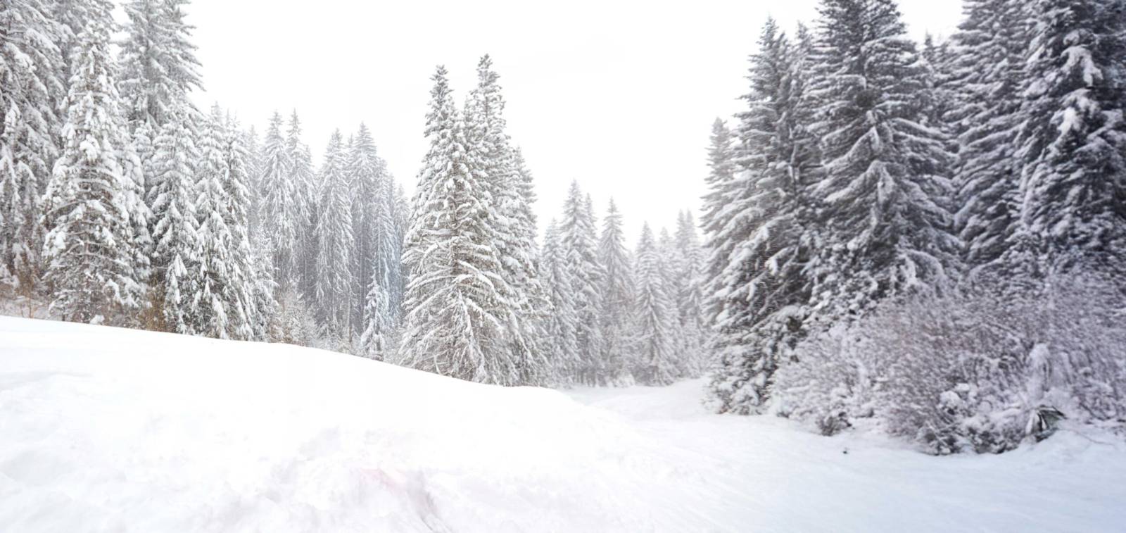 Prestamo Personal Oney